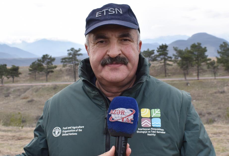 11 saylı Regional Meşə Təsərrüfatı Mərkəzində gizli oyunlar – baş mühəndis həqiqət uğrunda savaşır...VİDEO ŞİKAYƏT