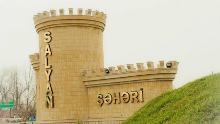 Salyan Su Meliorasiya idarəsində baş verən qanunsuzluqlar və danışan "ölü canlar"